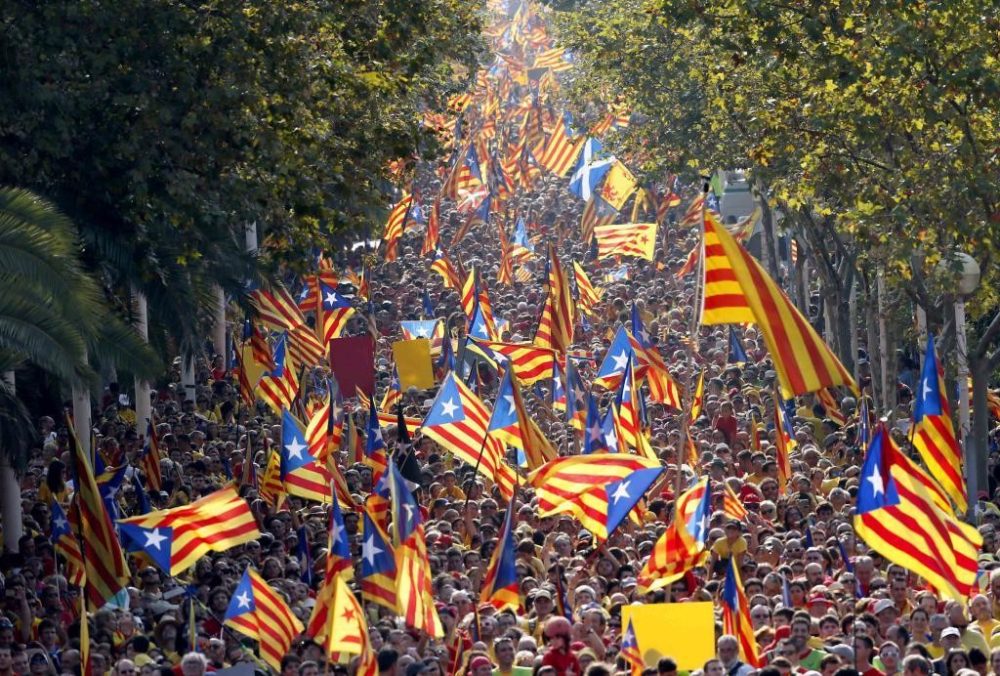diada-1024x692