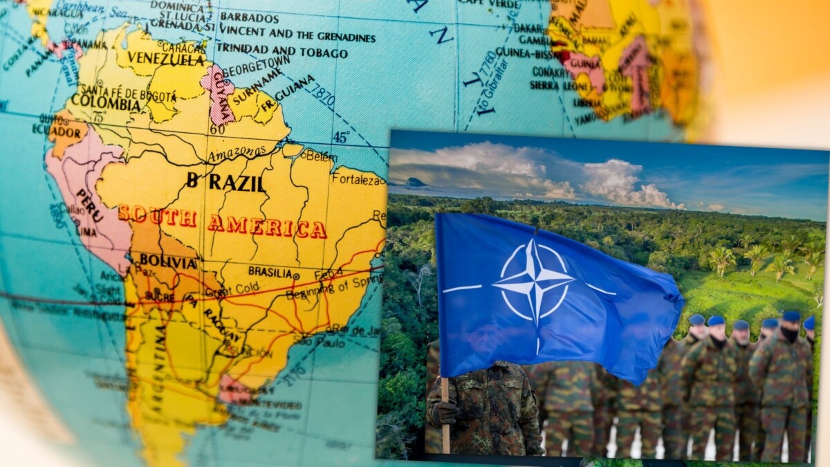 amazzonia nato