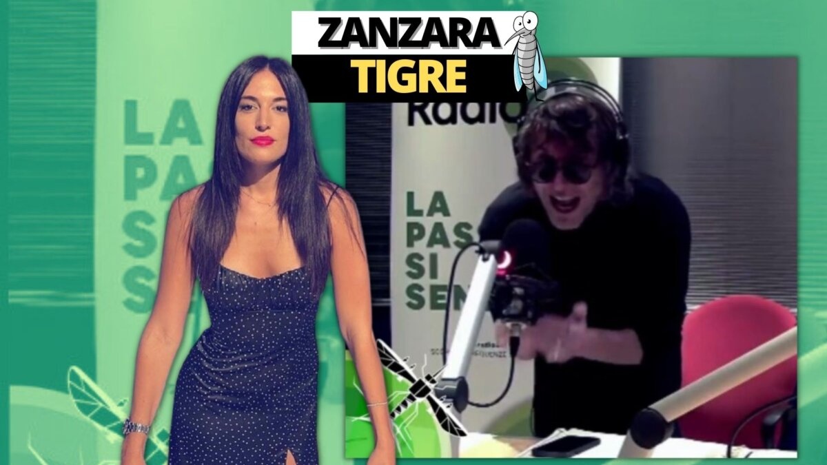 Cruciani Zanzara
