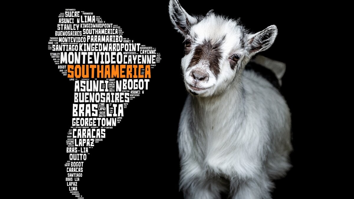 appunti sudamericani