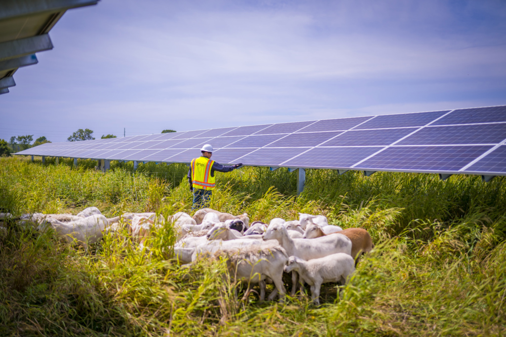 impianti fotovoltaici