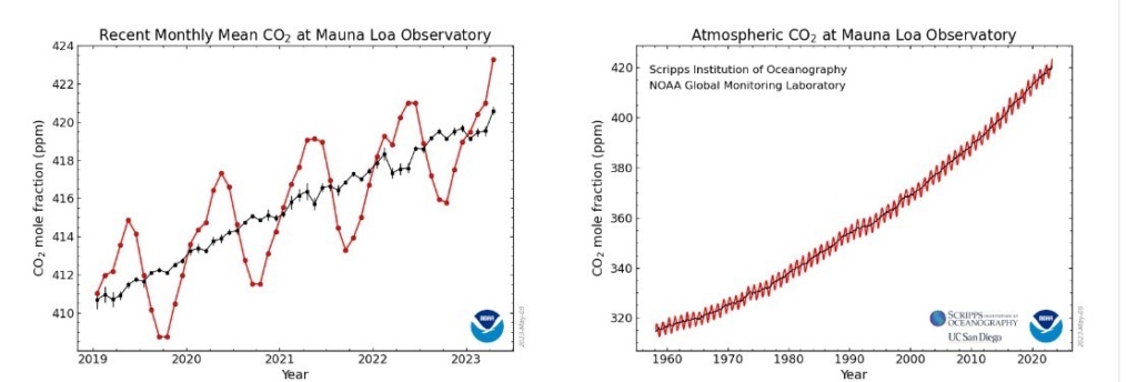 Grafico aumento della Co2