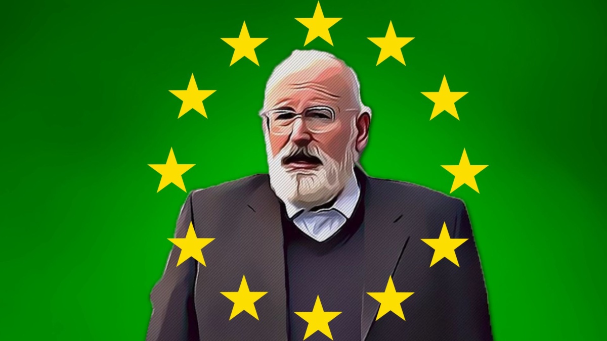 timmermans ambiente