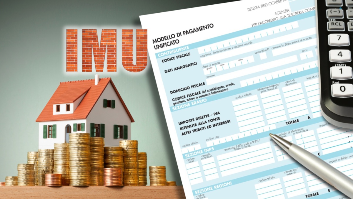 imu fisco
