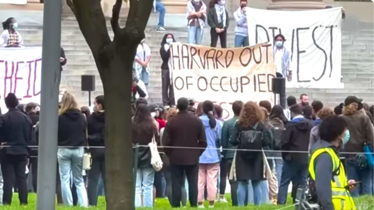 harvard israele palestina