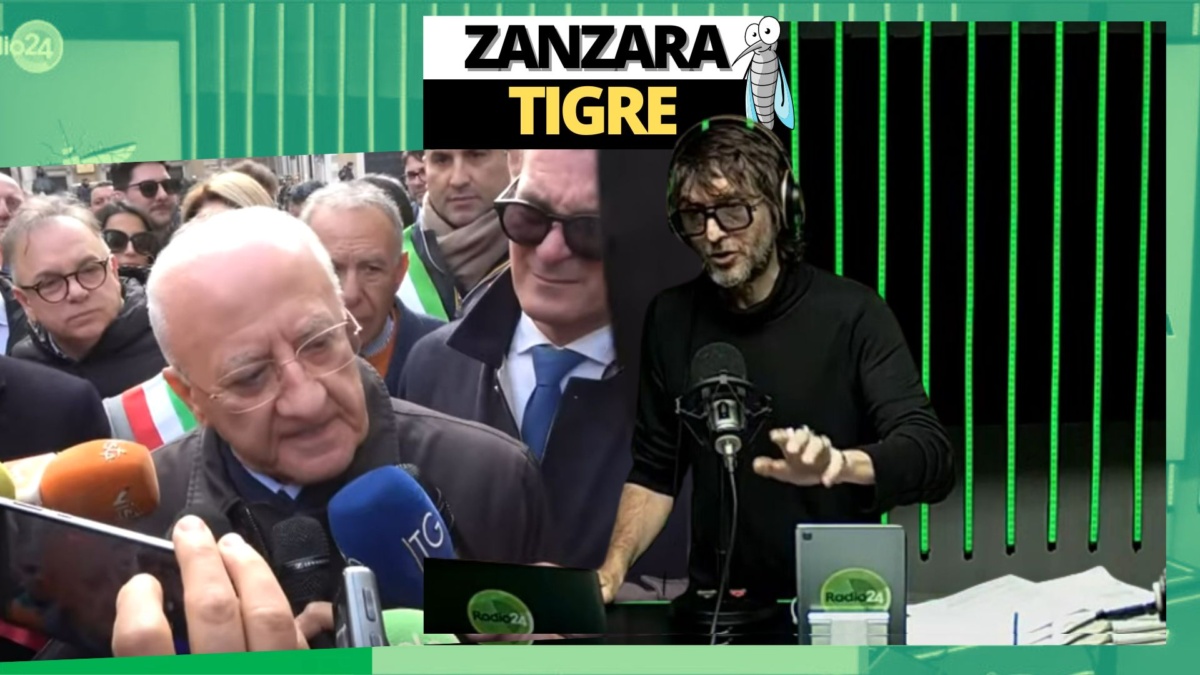 Zanzara 17 febbraio 2024