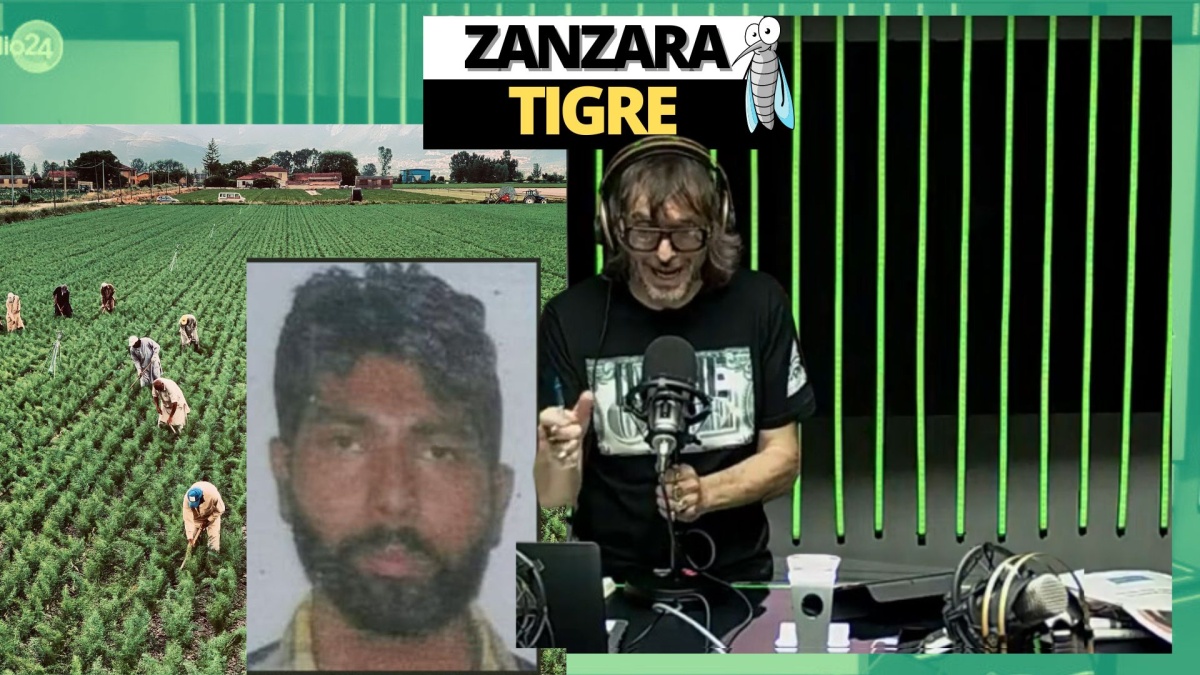 Zanzara 21 giugno 2024