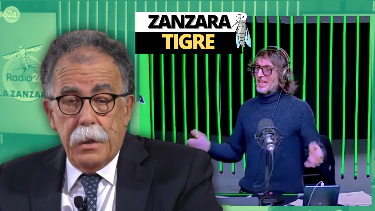 zanzara 24 gennaio