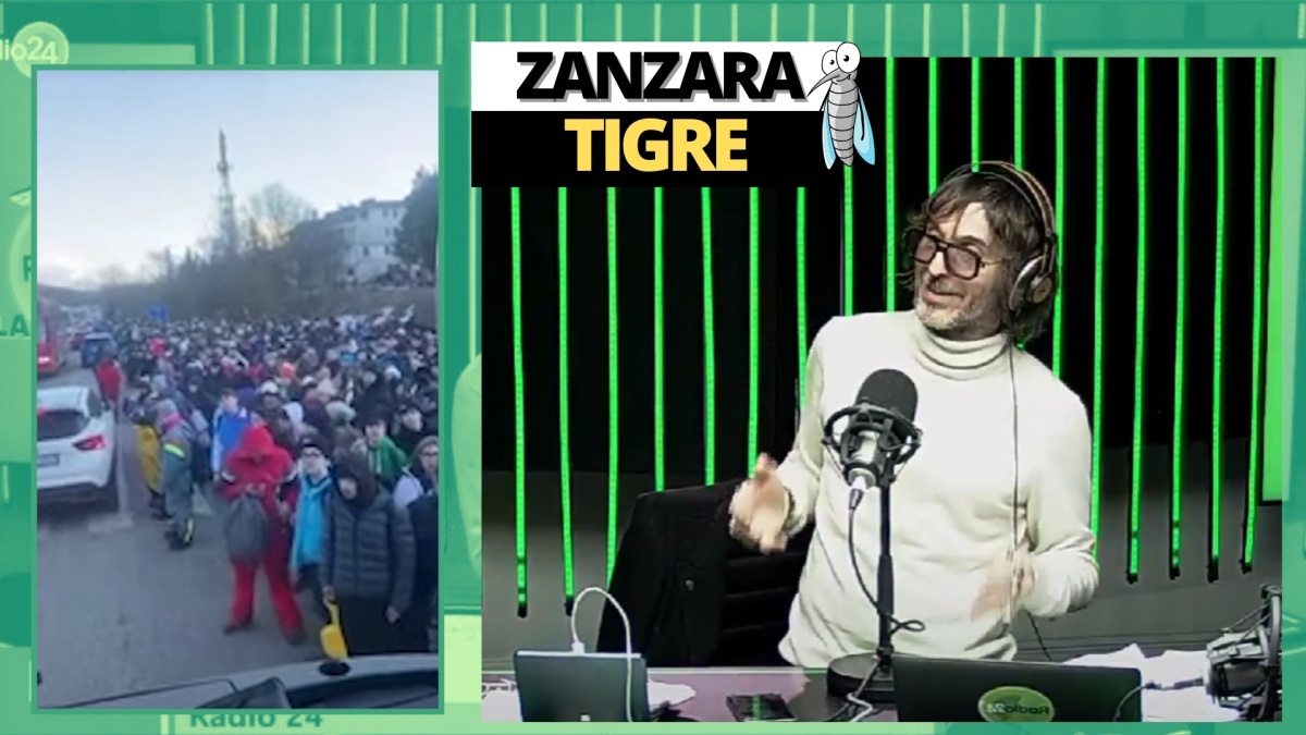 zanzara 31 gennaio
