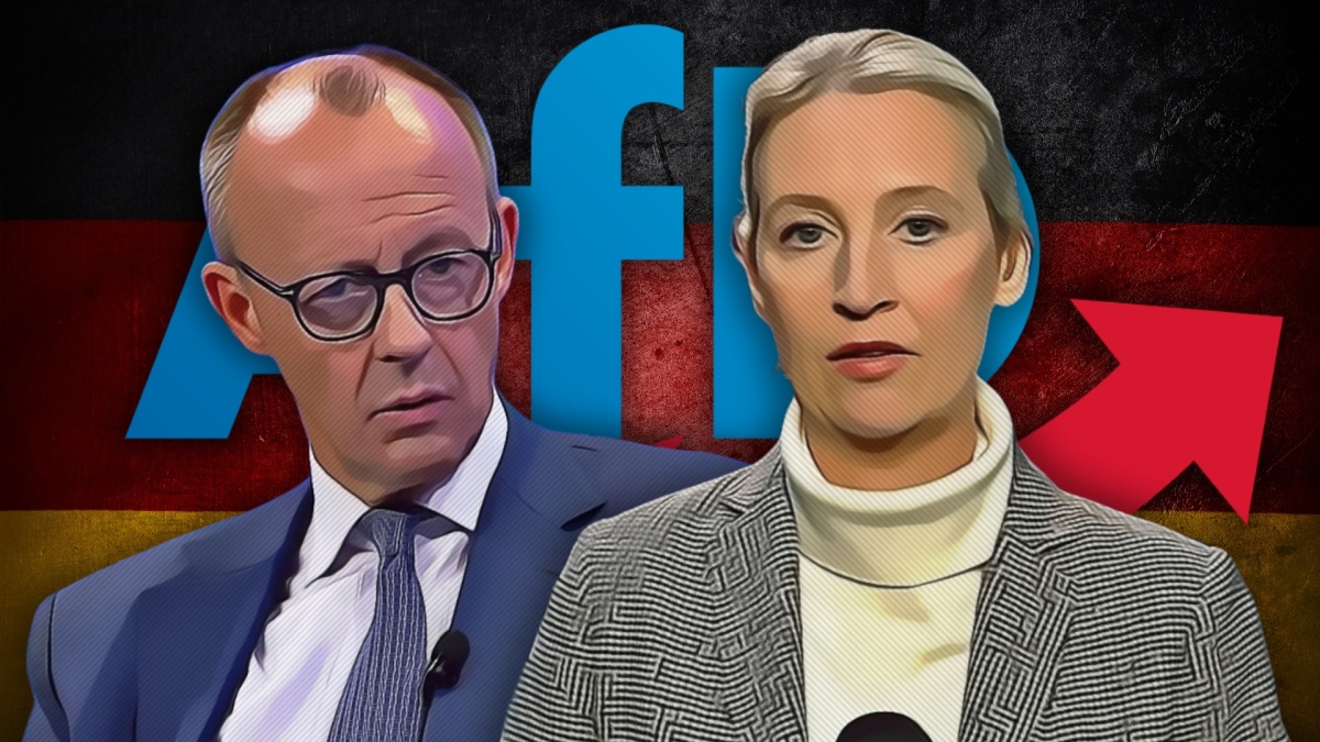 Clip afd merz weidel