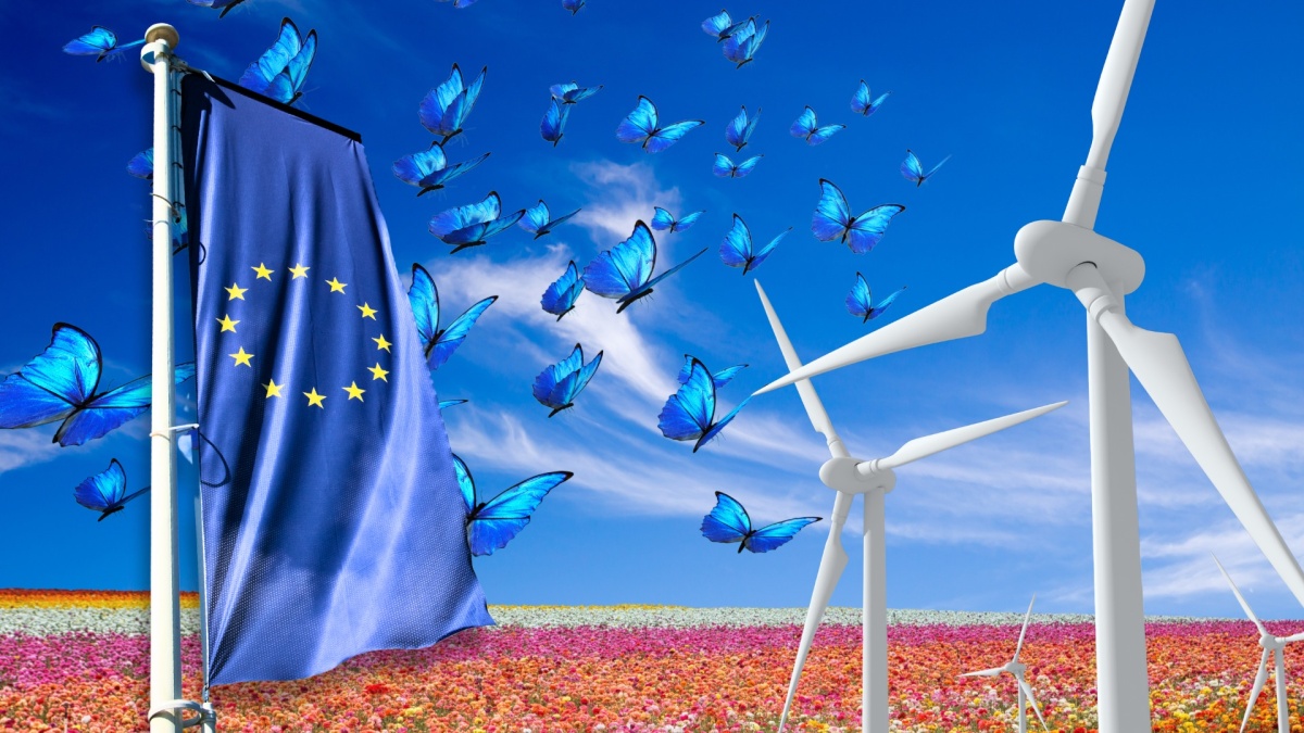 Pale eoliche insetti UE