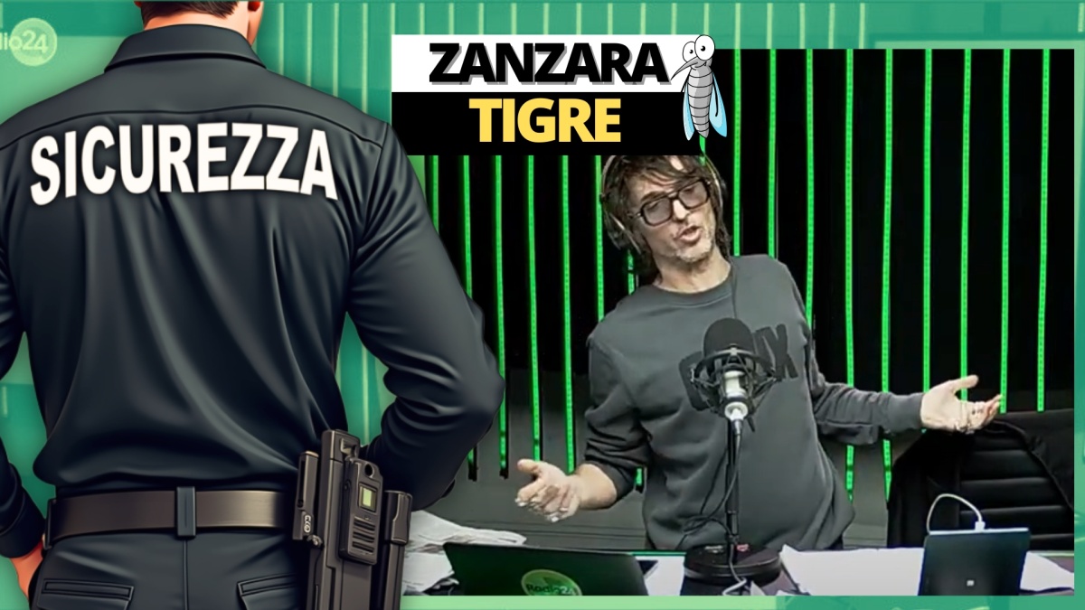 zanzara 11 febbraio