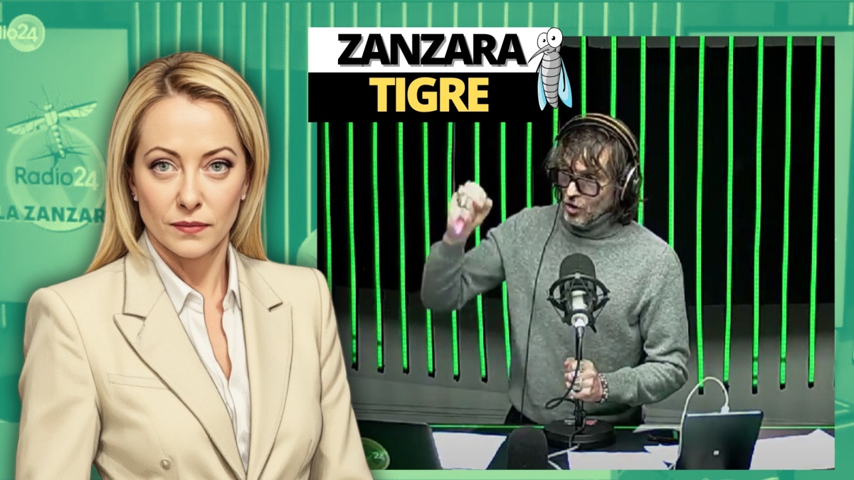zanzara 4 febbraio