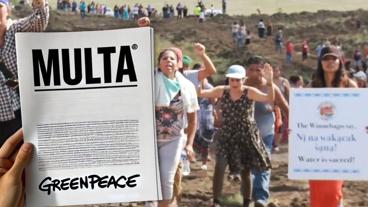 greenpeace multa