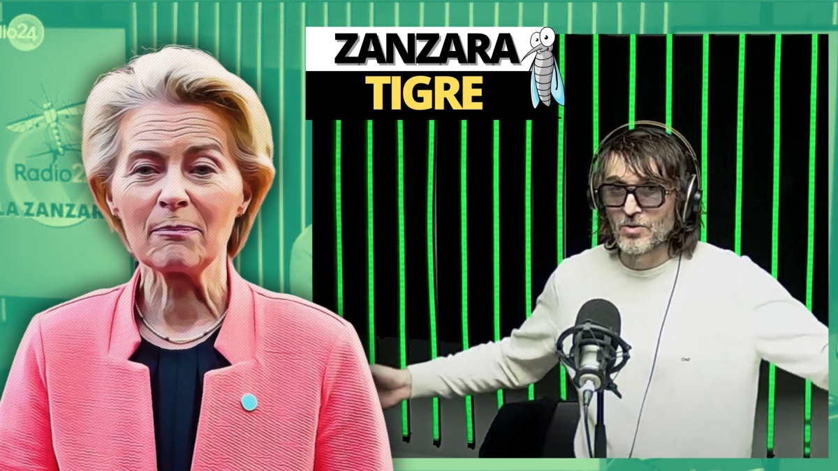zanzara 7 marzo