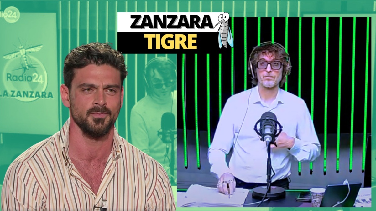 Zanzara 22 maggio