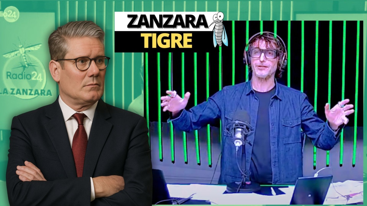 zanzara 16 maggio