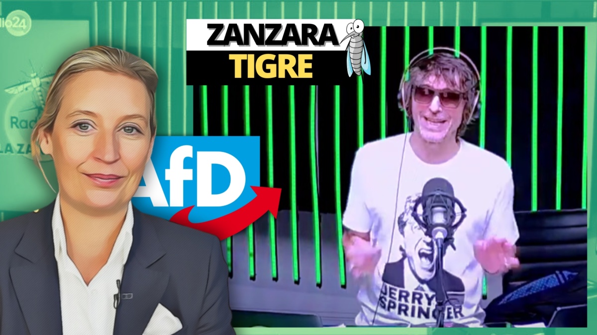 zanzara 3 maggio