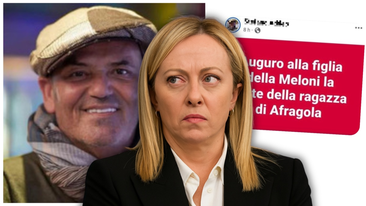 Meloni professore