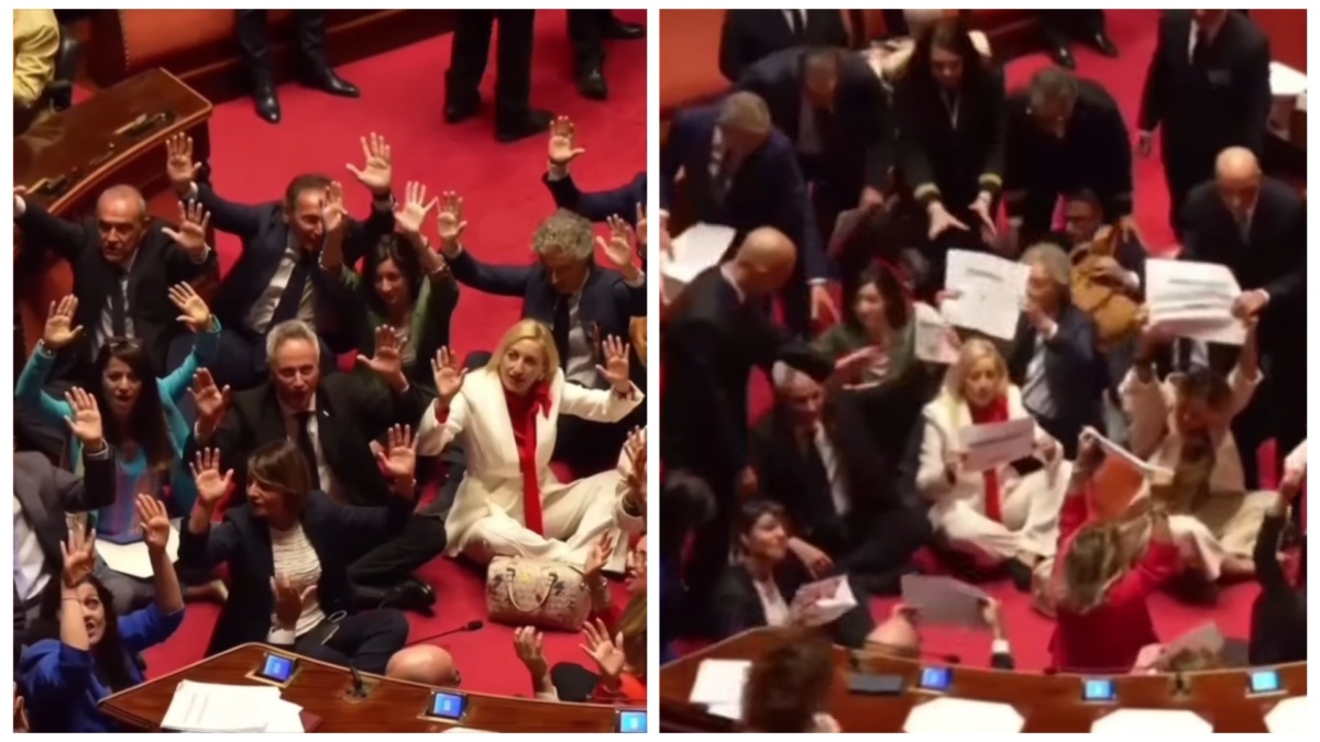 decreto sicurezza protesta senato
