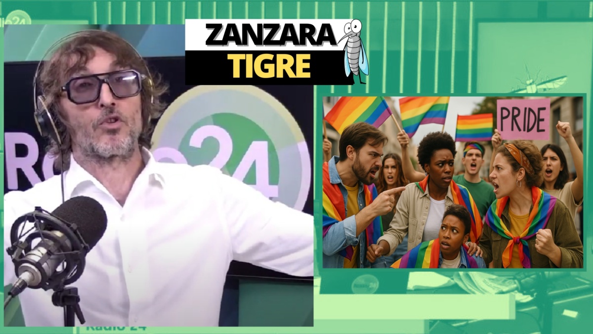 Zanzara 1 luglio