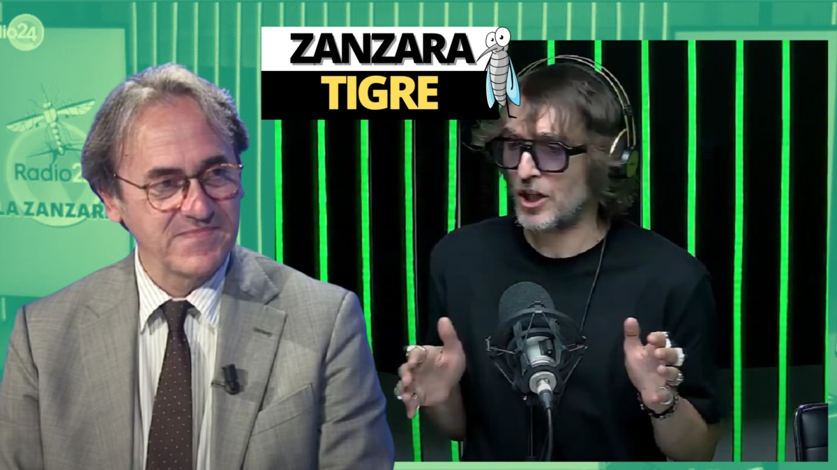 zanzara 3 luglio