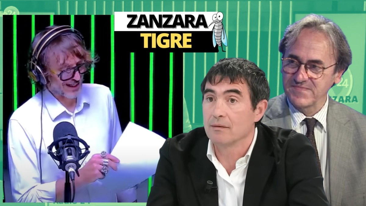 zanzara 8 luglio