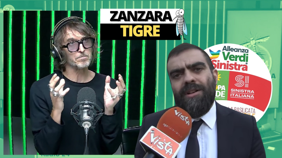 zanzara 11 settembre
