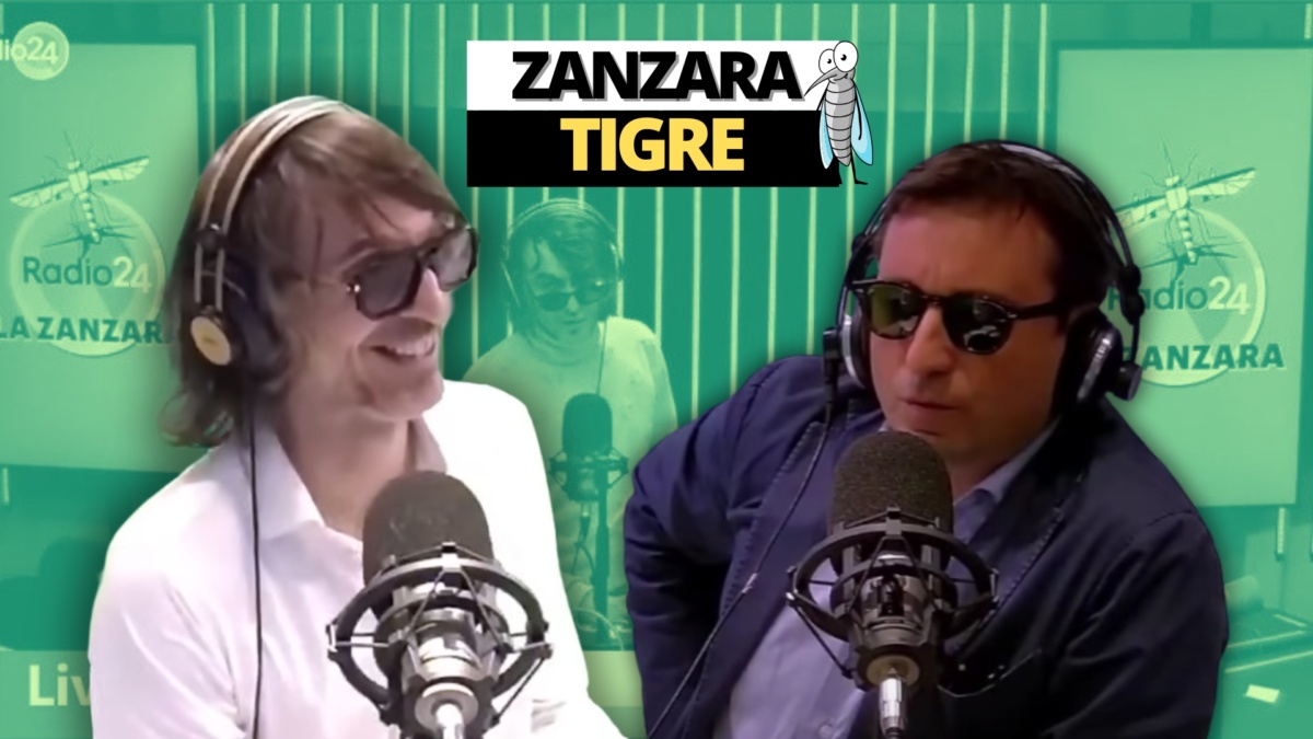 zanzara 8 settembre