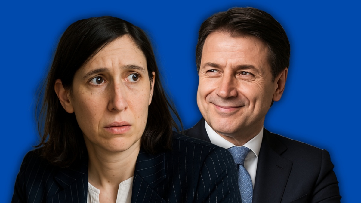 Schlein conte