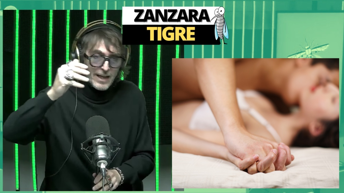zanzara 25 novembre (1)