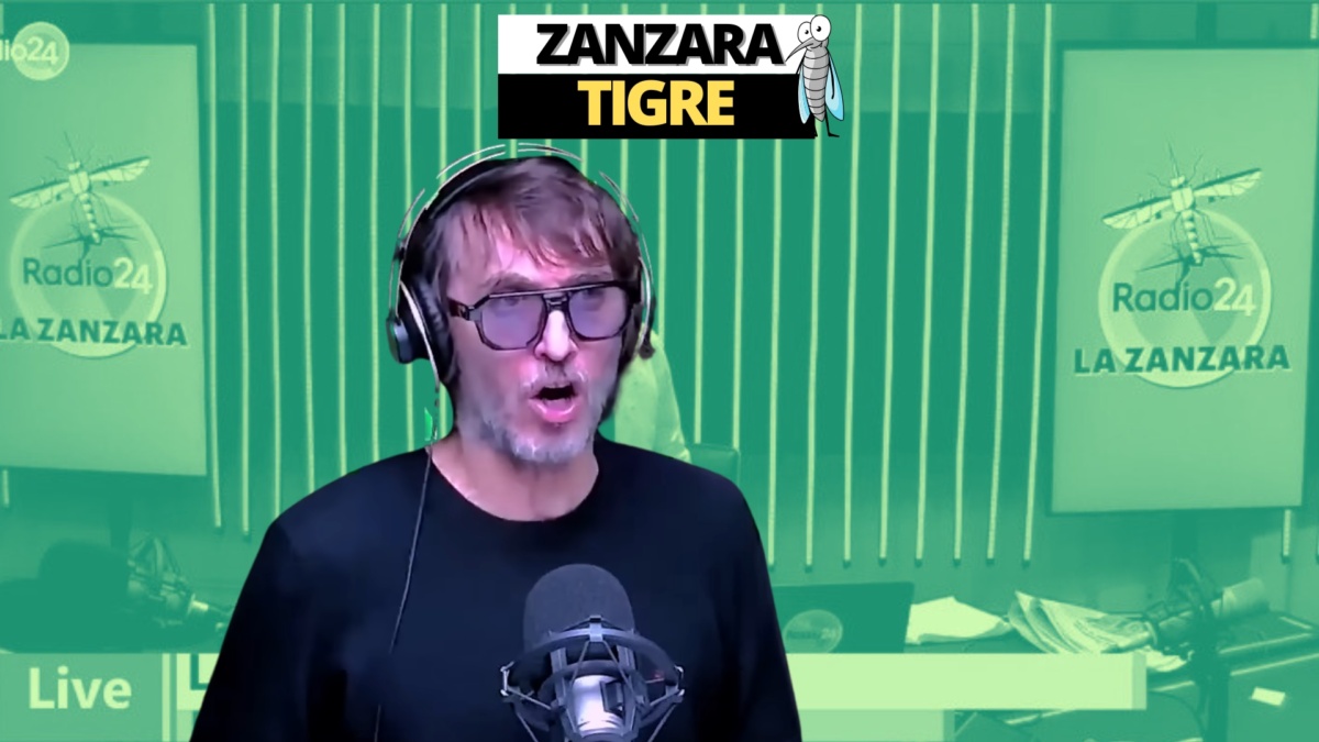 zanzara 8 novembre