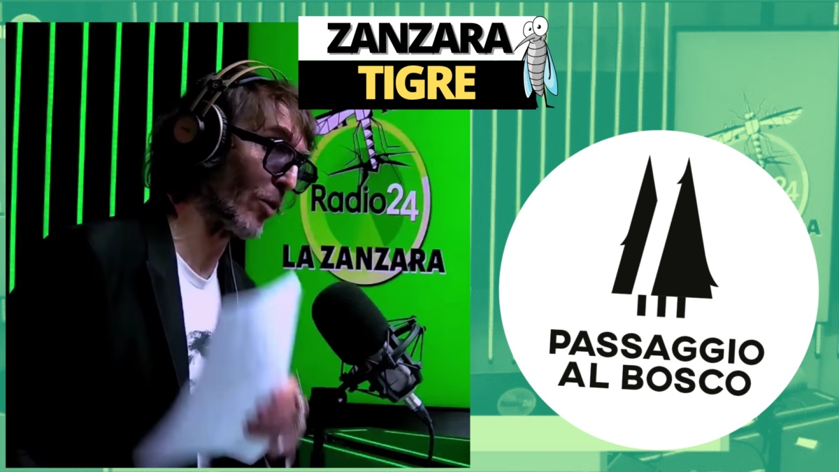 zanzara 6 dicembre
