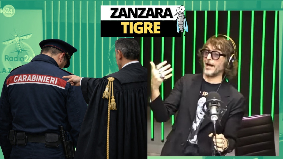 zanzara 17 gennaio