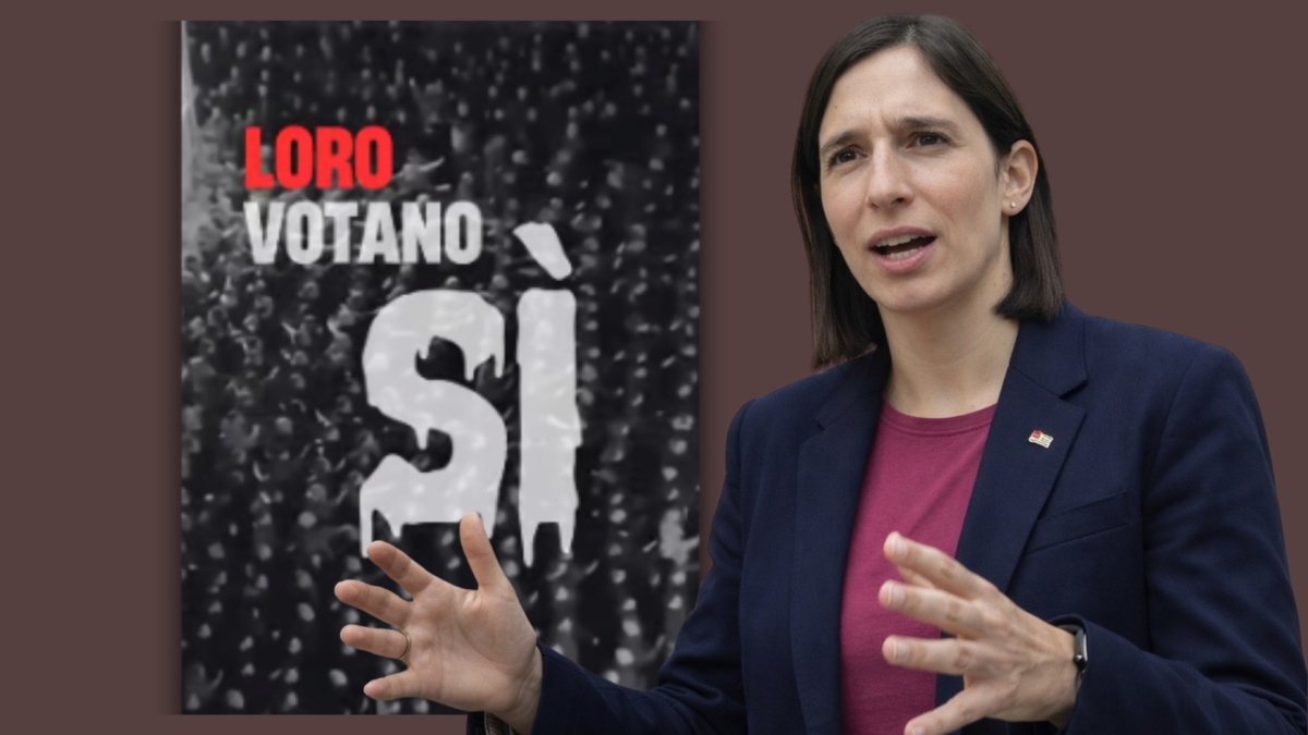 Casapound Schlein