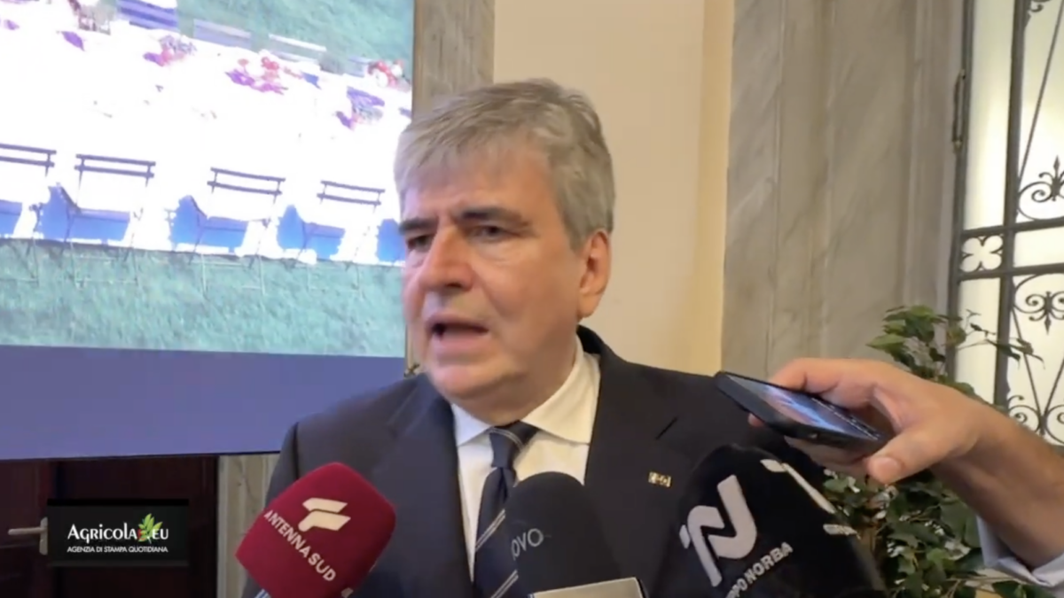 Gianmarco Mazzi