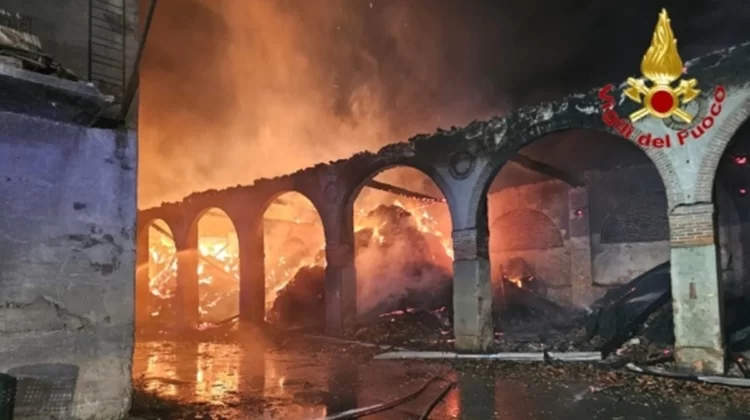 Un fulmine nel nubifragio colpisce una cascina: incendio devastante nel Milanese, salvate 500 mucche