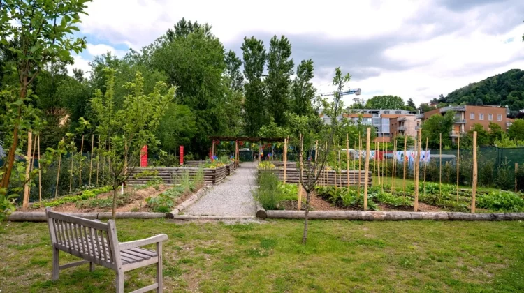 Nuovo orto terapeutico per i bambini e le famiglie di Torino. Il sostegno di Enel Cuore