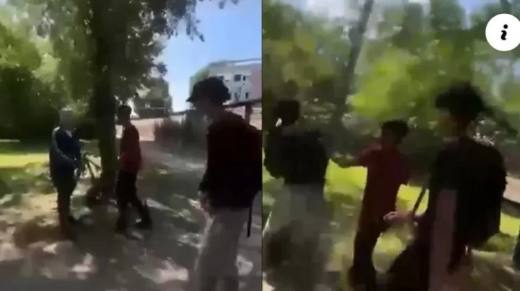 Studenti magrebini pestano e bastonano i prof. E non li denunciano