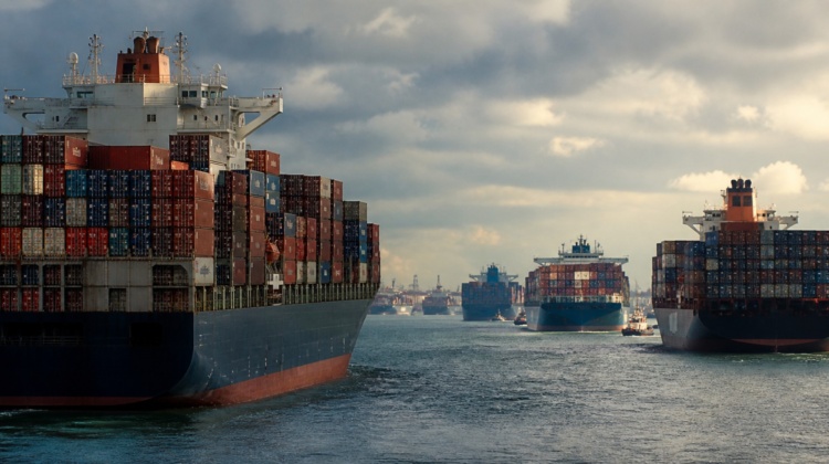 Container: la grande invasione dei mostri marini