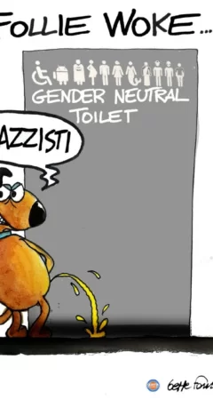 Sedute Satiriche di Beppe Fantin - Vignetta del 31/05/2026