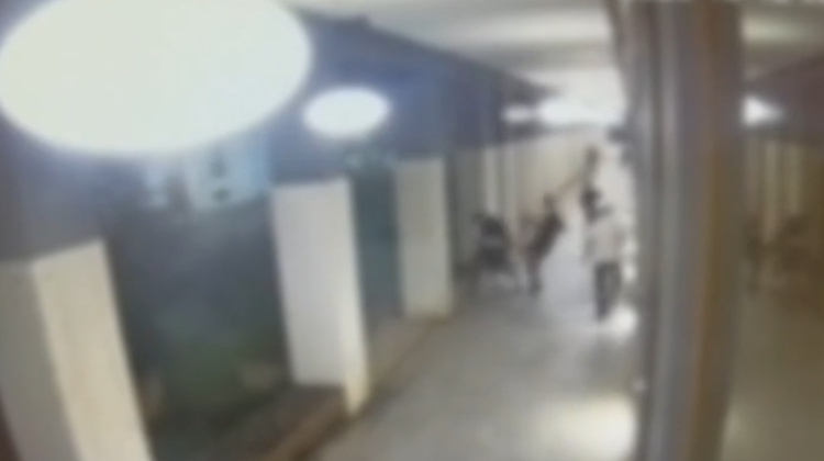 Bocconiano accoltellato a Milano: il gup sui 20 anni all’aggressore: “Rideva all’idea della paralisi”