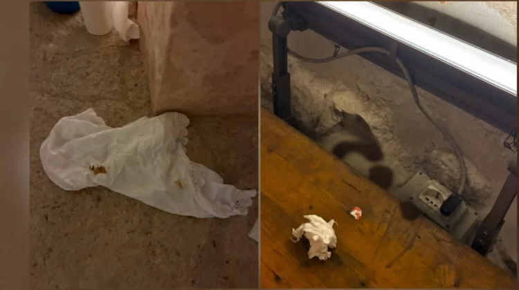 Defecano in chiesa, poi si puliscono con i teli sacri 
