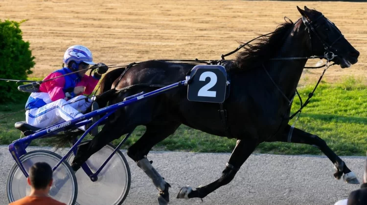 Varenne, addio al cavallo alato dalla grazia sovrannaturale