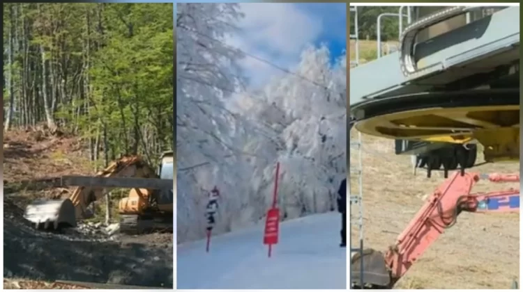 “Gli alberi non si toccano”. Giudici e ambientalisti bloccano la pista da sci