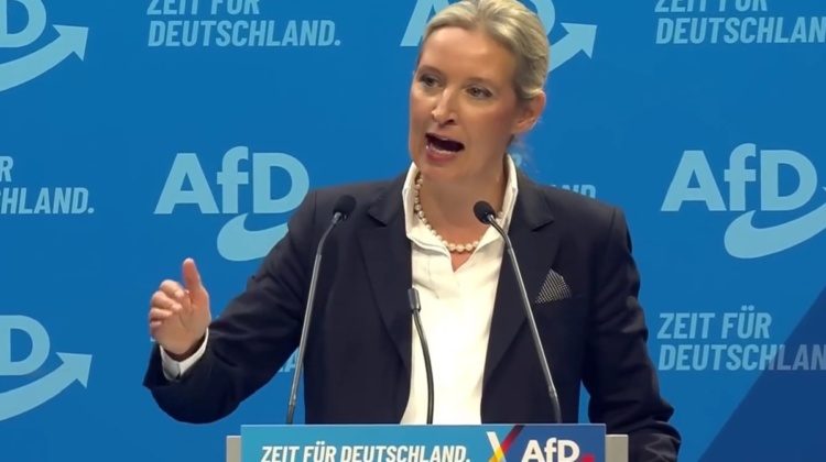 Arrivano i nazisti? Ecco cosa propone davvero AfD