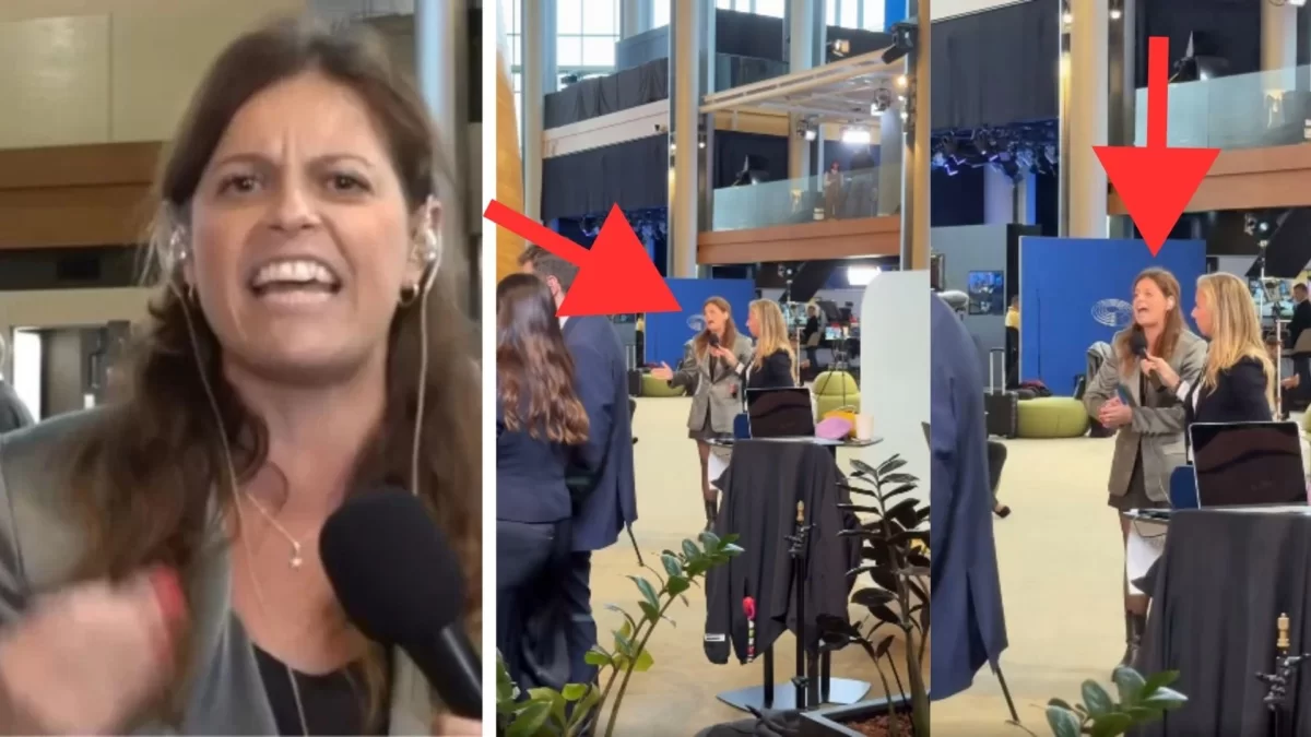 Ilaria Salis tv