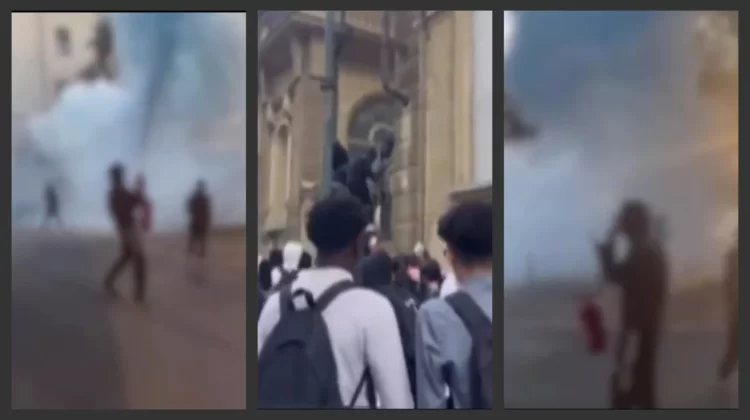 Questi vanno manganellati e arrestati