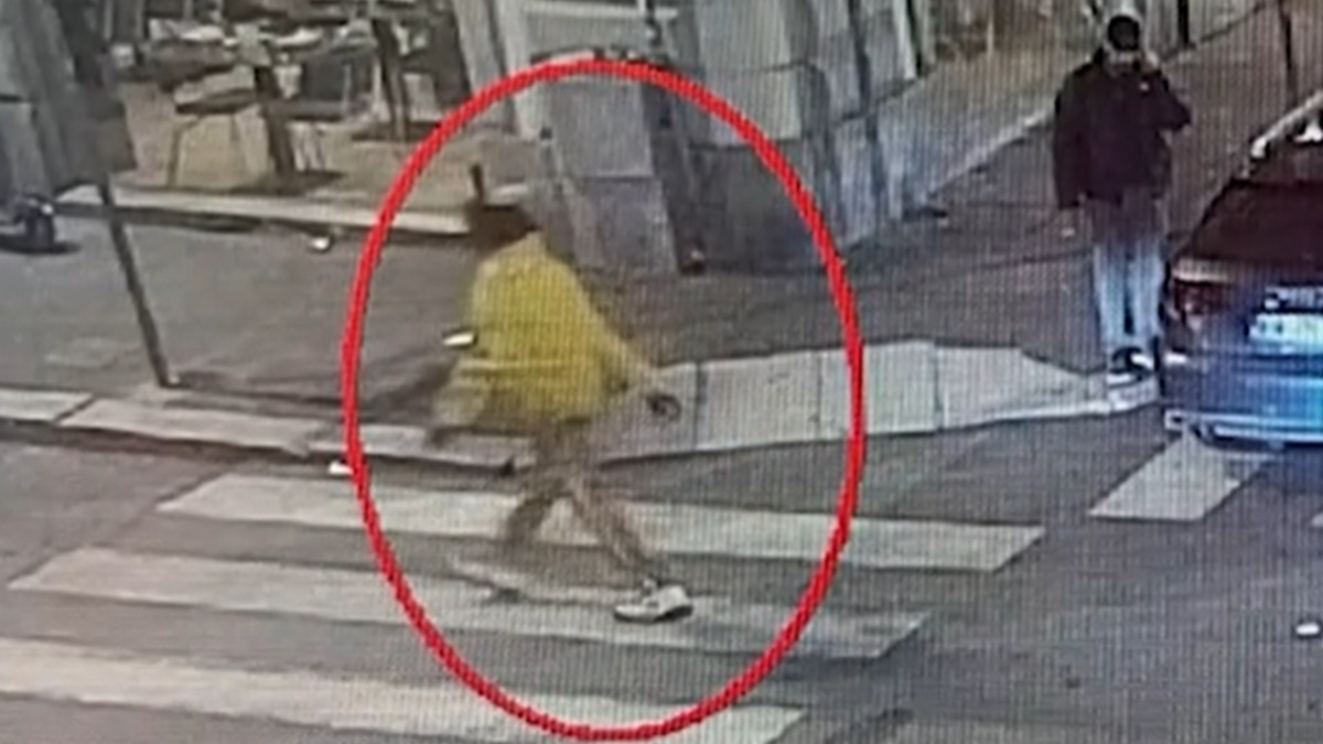 picchiatore milano arrestato